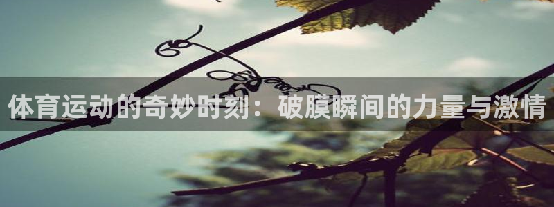 风速体育app：体育运动的奇妙时刻：破膜瞬间的力量与激情