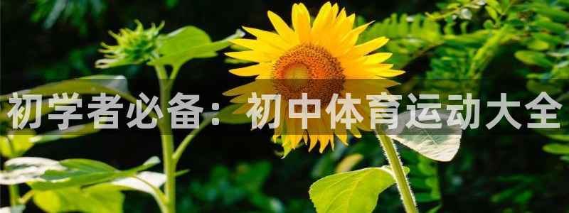 风速体育nba免费直播：初学者必备：初中体育运动大全