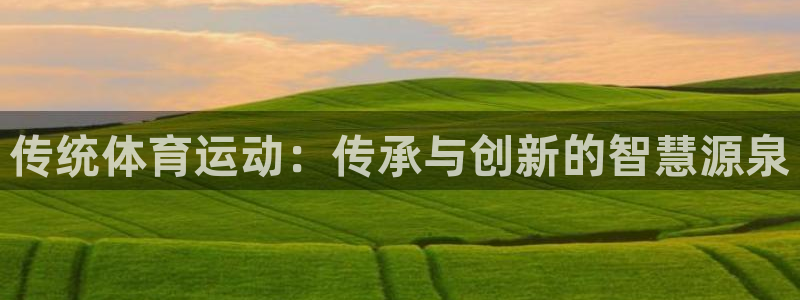 下载风速体育：传统体育运动：传承与创新的智慧源泉