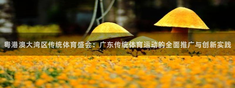 风速体育直播：粤港澳大湾区传统体育盛会：广东传统体育运动的全面推广与创新实践